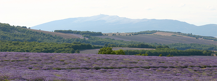 Mont Ventoux, France. Jean-Marc Rosier